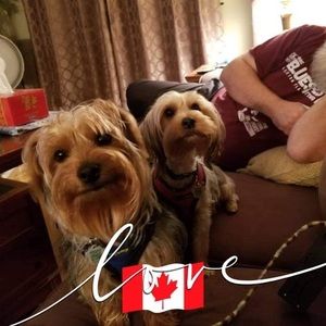 Meet your Posher, Janet